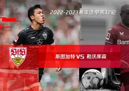 勒沃库森阵容名单