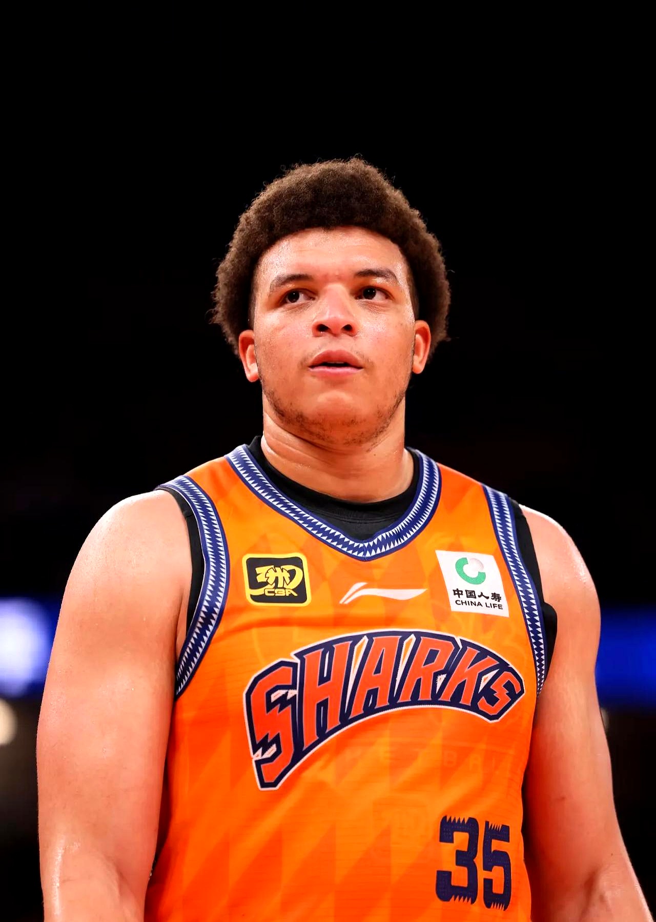 布莱顿迎全明星赛关键赛；冲刺阶段遗憾出局；悬念犹存；训练强度明显提升的简单介绍