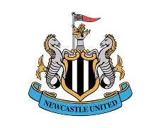 纽卡斯尔训练开放日，今夜回应争议引欢呼，欧联在即，控场能力受关注(疯狂解谜手册限时活动详情)